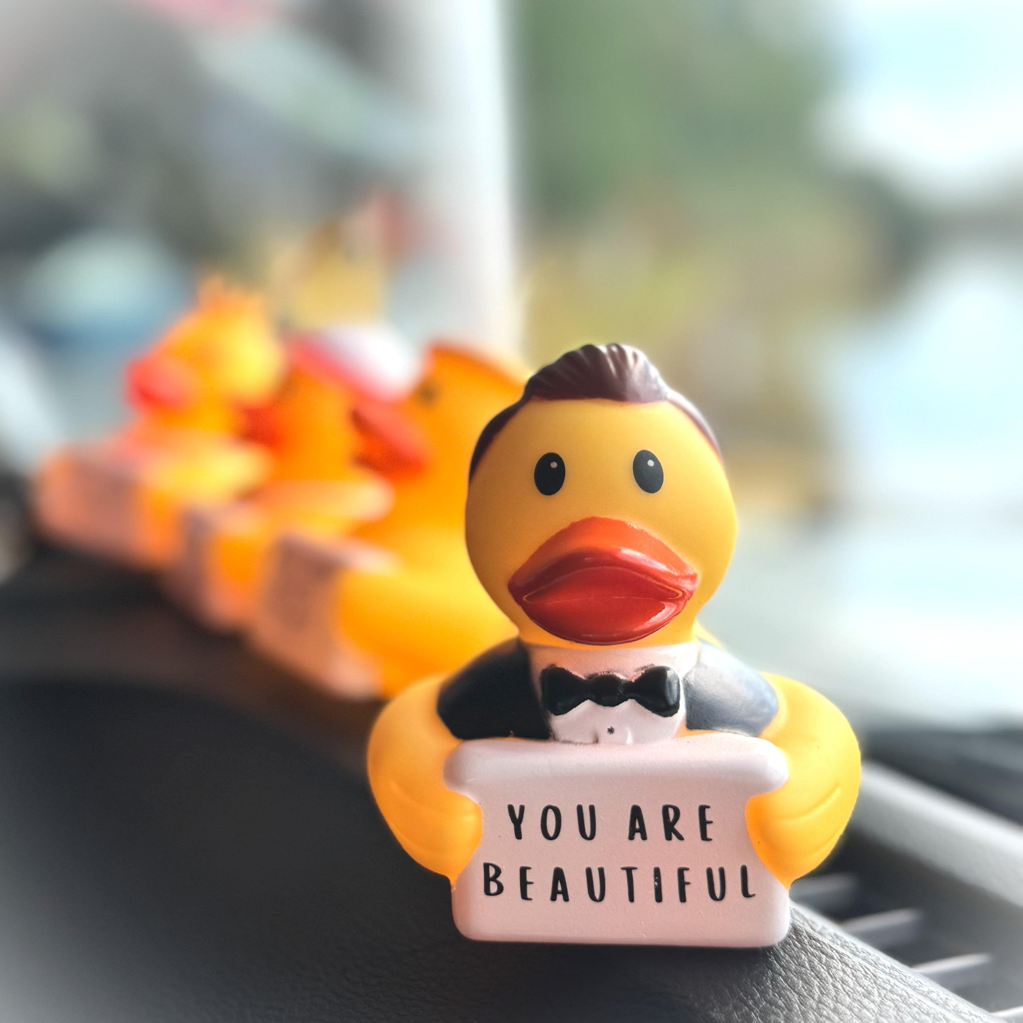 YOU ARE BEAUTIFUL - James Duck (Collector&