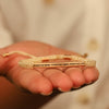 POSITIVE MIND - POSITIVE LIFE - POSITIVE VIBES ROPE BRACELET - Inspiration Co.