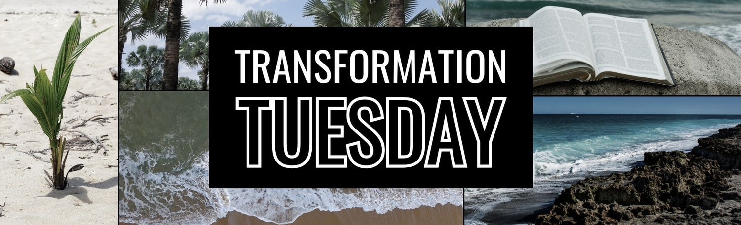 Transformation Tuesday: Nature’s Resurrection