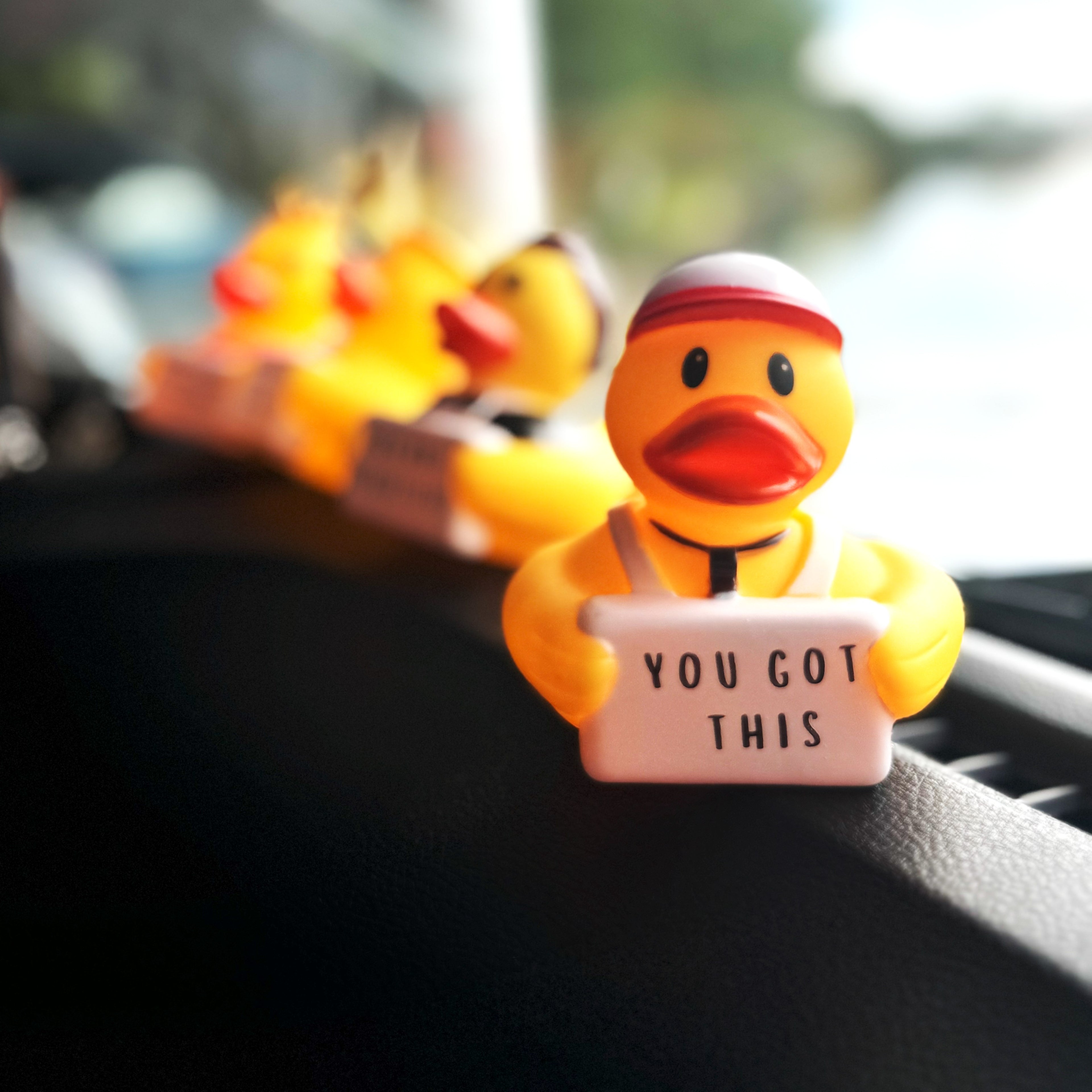 You Got This - Coach Quack  (Collector&