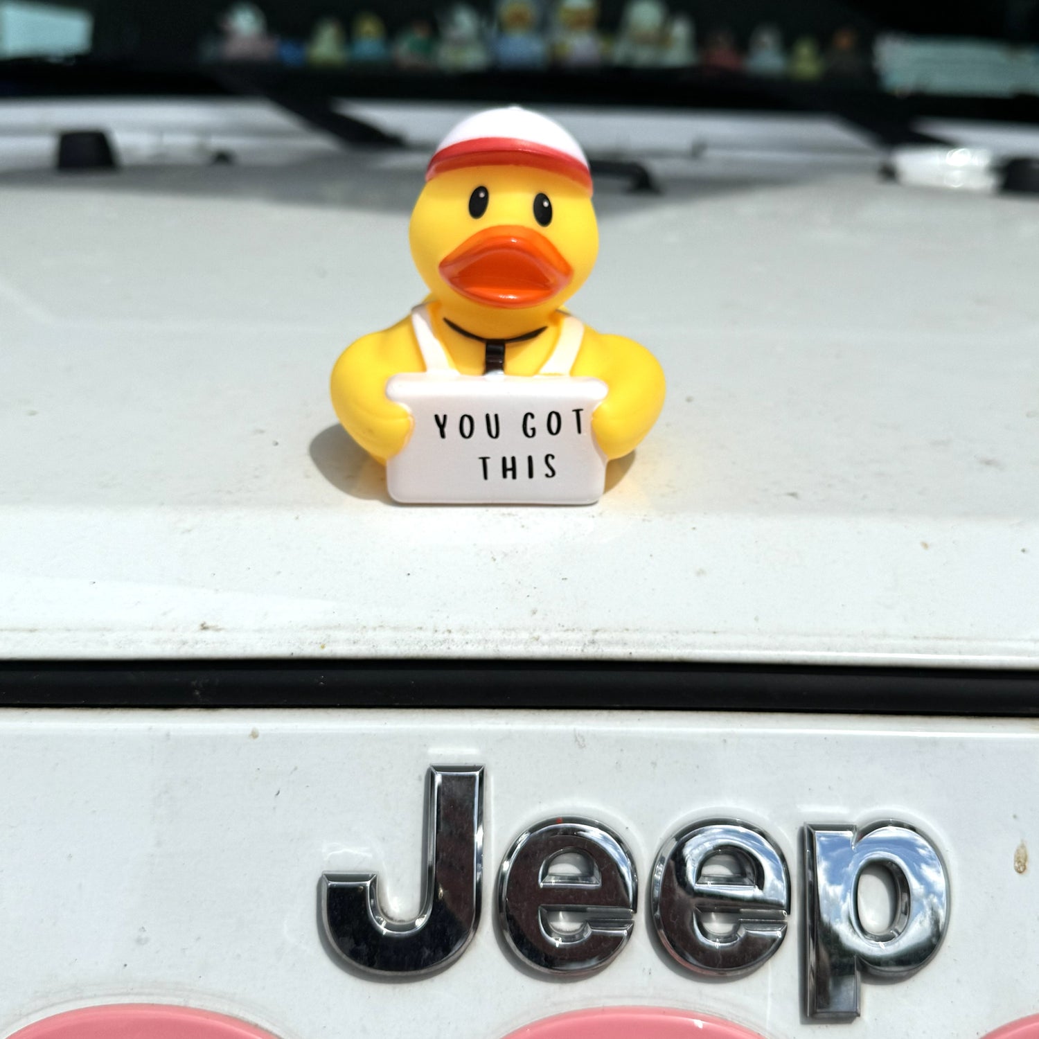 You Got This - Coach Quack  (Collector&